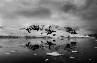 Garlinda Birkbeck, Reflections, 2012