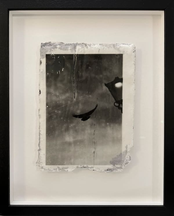 Luke White, Untitled 1, 2023