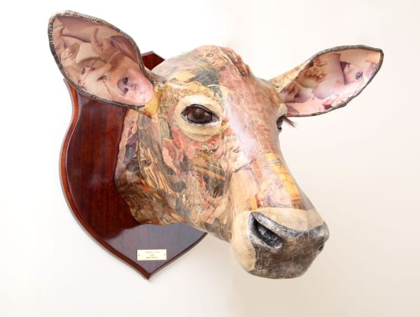 David Farrer, Jersey Cow, 2013