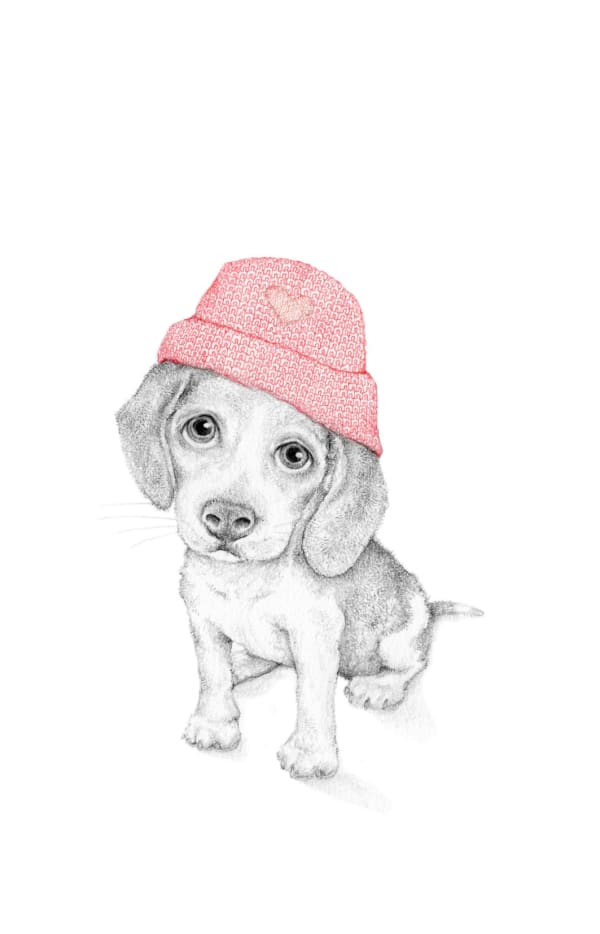 Jackie Case, Lost, 2024