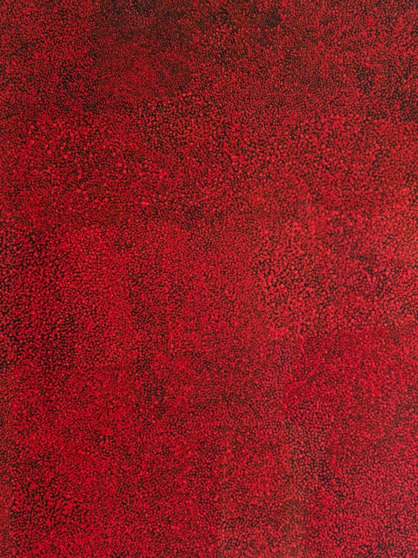 Gladdy Kemarre, Bush Plum, n.d