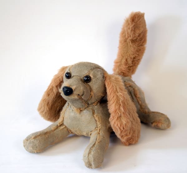 Ross Bonfanti, Puppy c509, 2014