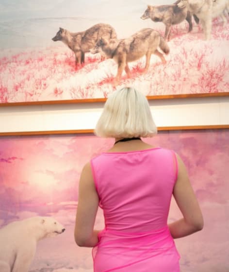 Jim Naughten, Installation Shot