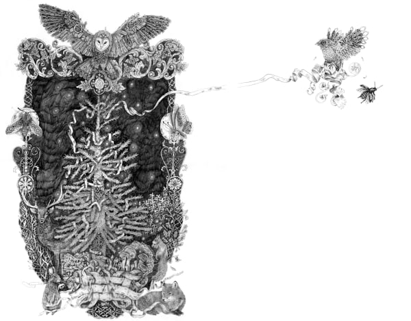 Jason Jameson, A Ribbon from the Fair, 2020