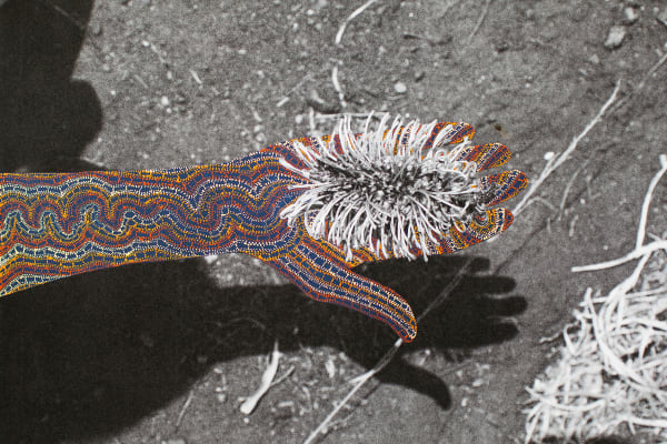 Whitby, Whitby Museum, Pannett Art Gallery, Aboriginal artist, Yuendumu Region, Central Australia, aboriginal art, Captain Cook, indigenous iconography, ‘dreamtime’, Australian Aboriginal, Indigenous art, Rebecca Hossack Art Gallery, Emily Kam Kngwarray, Patrick Waterhouse, indigenous Images, Warlpiri of Central Australia, photography, dot and circle art, contemporary art