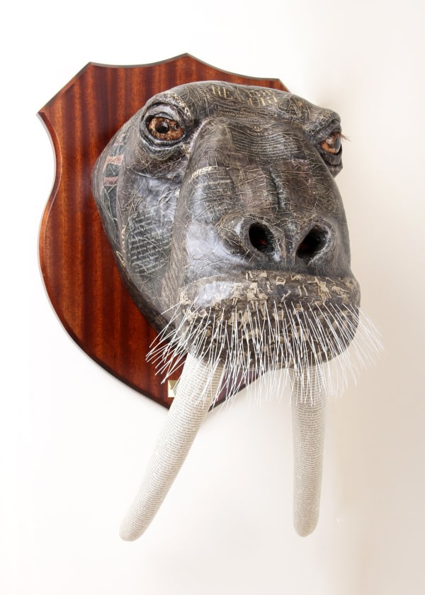 David Farrer, Walrus, 2013
