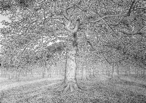 Roy Wright, Autumn Leaves Have Started to Fall, 2021