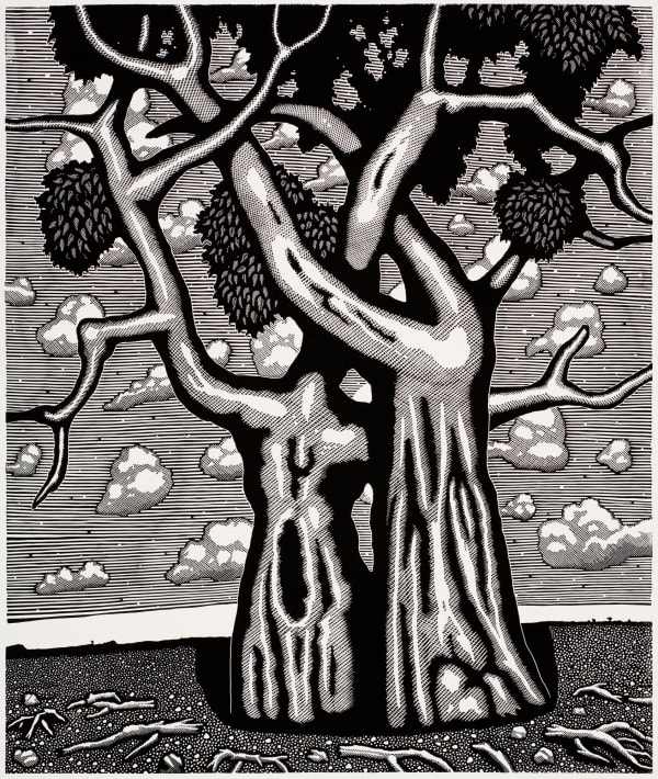 Wooden linocut of two trees wrapped around each other by Australian artist and print-maker David Frazer represented by Rebecca Hossack Art Gallery.