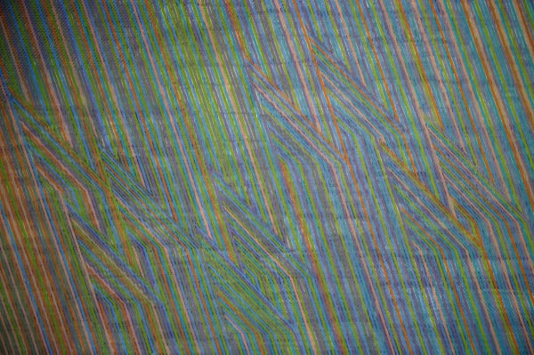 green and multi-colour oil painting by artist David Whitaker represented by Rebecca Hossack Gallery