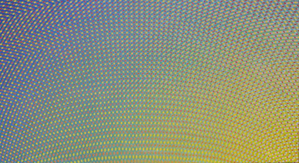 blue and yellow multi-colour oil painting by artist David Whitaker represented by Rebecca Hossack Gallery