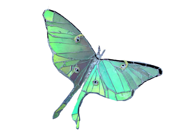 Andrew Logan british sculptor jewellery bugs and butterfly in glass and resin in vibrant blue and green detail