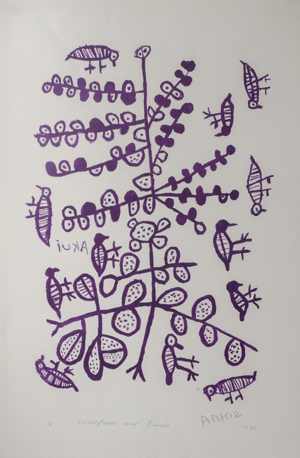 Ankie, Veldfood & Birds, 1992