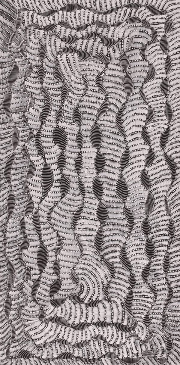 Grace Napangardi Butcher, Pikilyi Jukurrpa (Vaughan Springs Dreaming), 2022