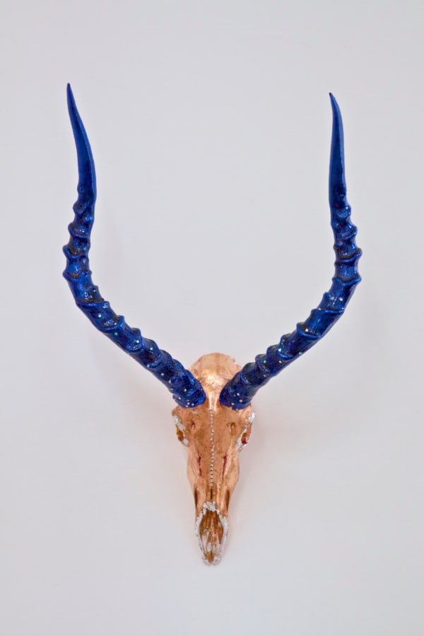 Tracy Lee Griffith, Biza, 2017