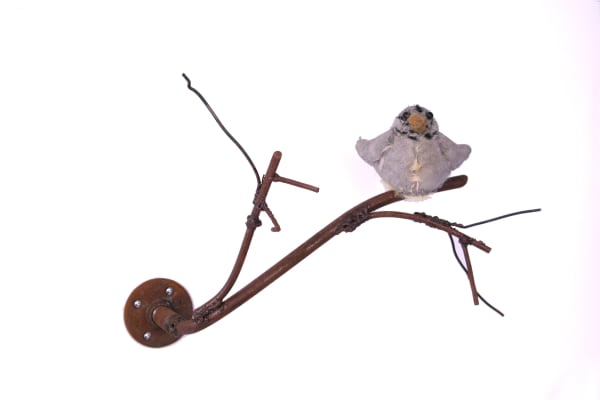 Ross Bonfanti, Branch 1, 2014