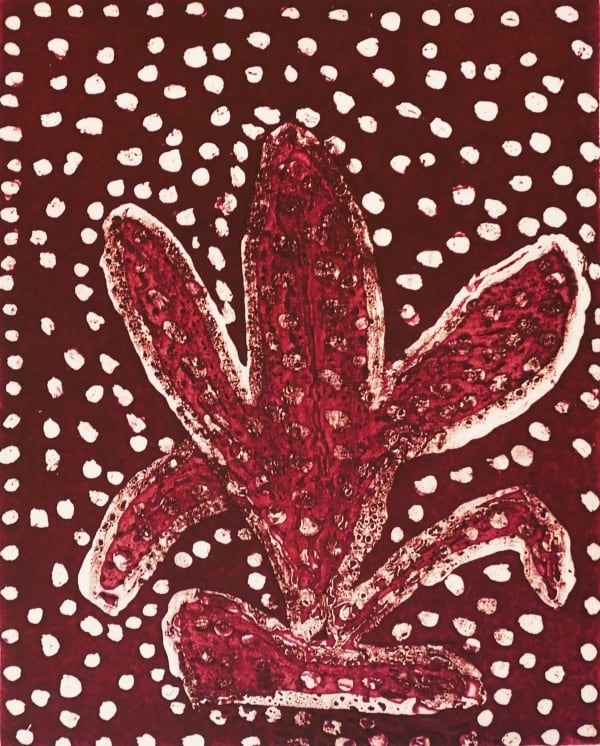 Kate Miwulku, Warakkala - Long Hairy Yam, n.d.