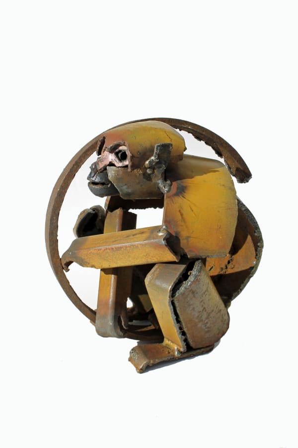 Iain Nutting, Squirrel Monkey, 2016