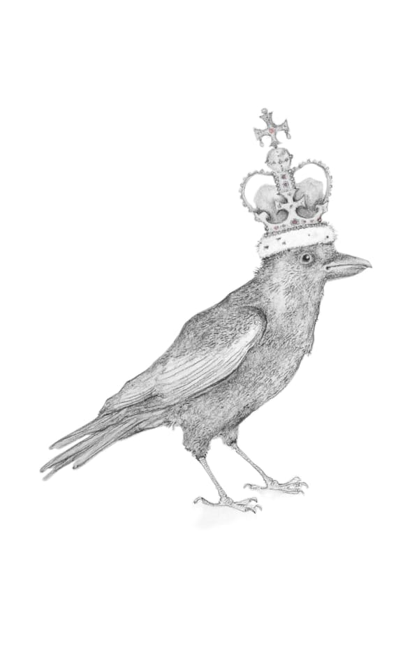 Jackie Case, The Dark Crow, 2024