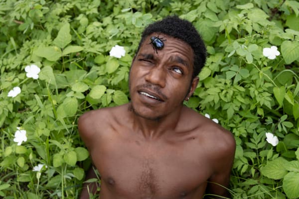 Naomi Hobson, Fragility, 2024