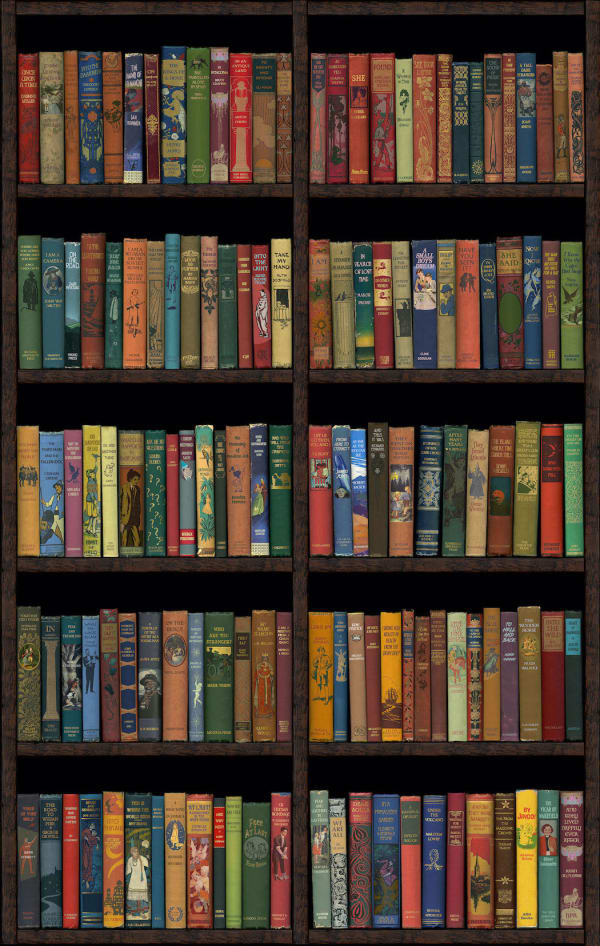 Bookshelf print by artist Phil Shaw represented by Rebecca Hossack Gallery