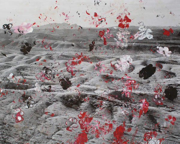 Patrick Waterhouse, Gone to the Dogs. Walked over by dogs at Warlukurlangu Art Centre, 2014-2018