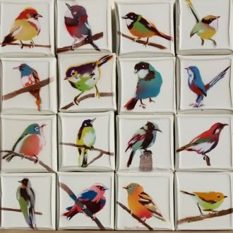 Datsun Tran, Birds, 2010