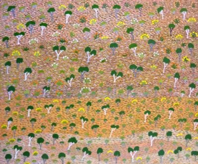 Artists of Ampilatwatja, Ampilatwatja Country (Lilly Morton Akemarr), 2011