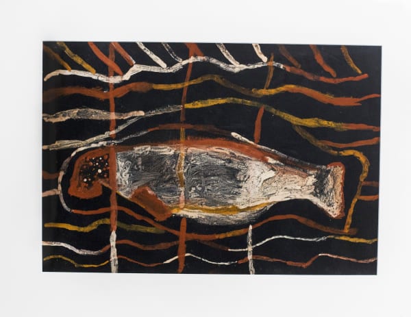 Timothy Cook, natural earth pigments on paper, Tiwi, Aboriginal artist and artwork.