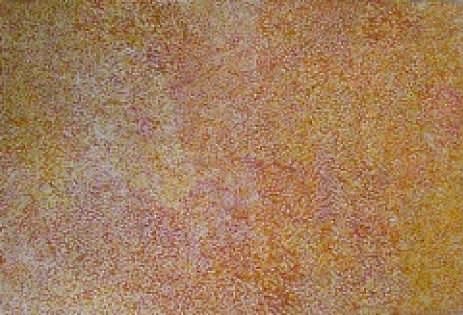 Poly Ngal, Emu seed country, 2006