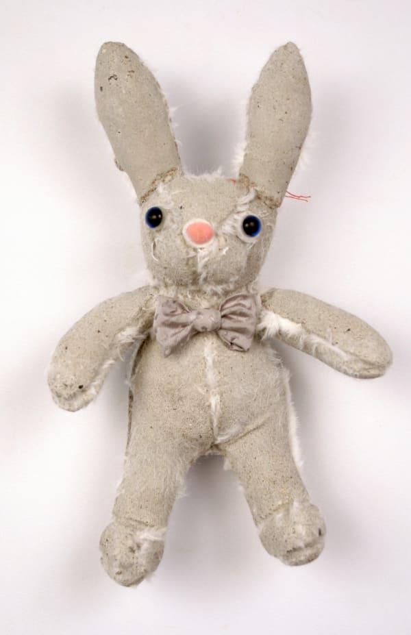 Ross Bonfanti, Bunny (c519), 2014