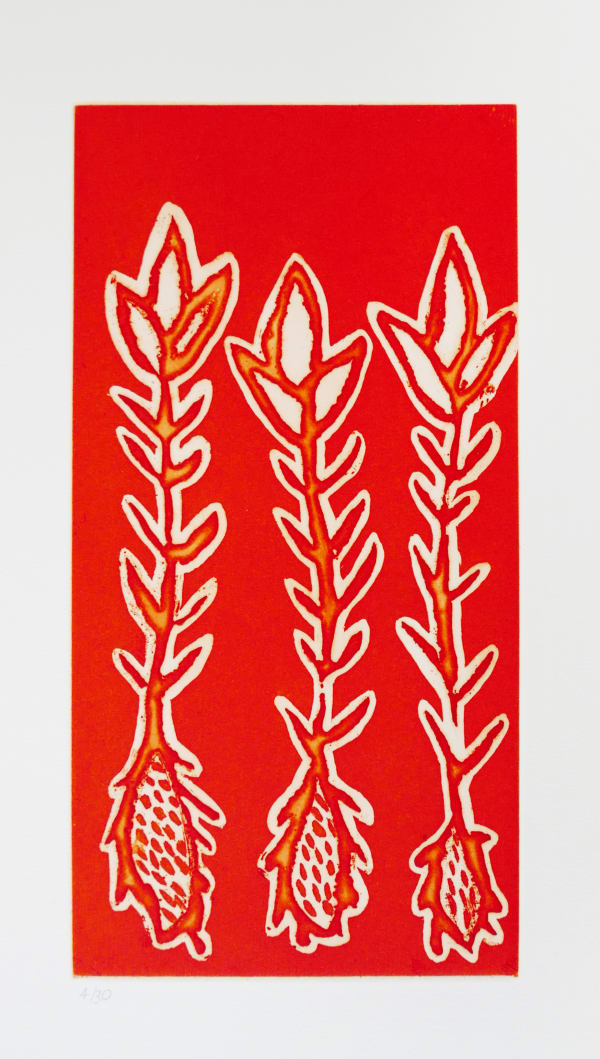 Unknown Artist, Bush Potato, n.d.