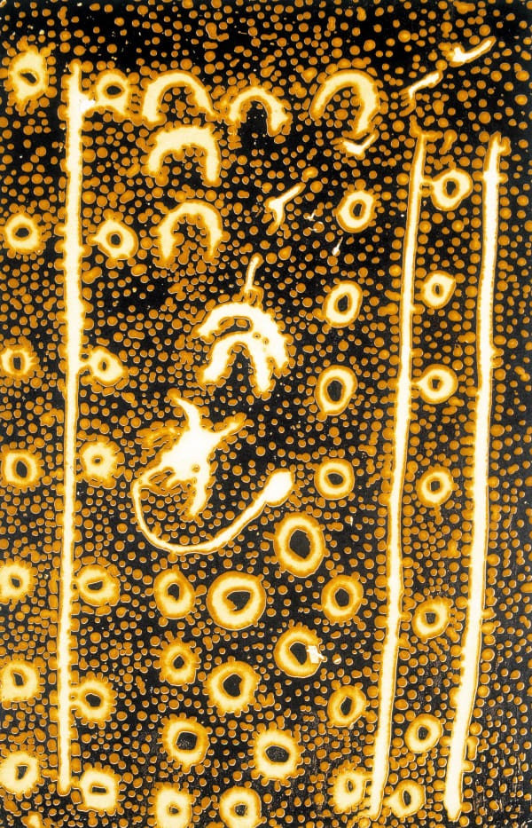 Paddy Stewart Japaljarri, Ngarlu Jukurrpa – Love Story Dreaming , n.d.