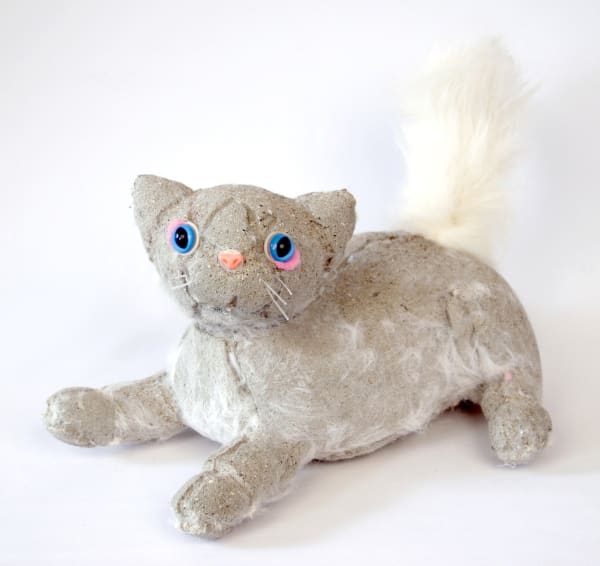 Ross Bonfanti, Cat c512, 2013