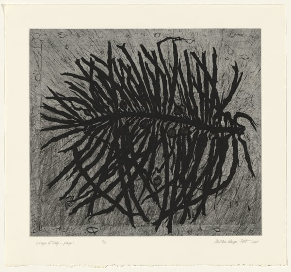 Hertha Kluge-Pott, Wings of Kelp - page 1, 2009