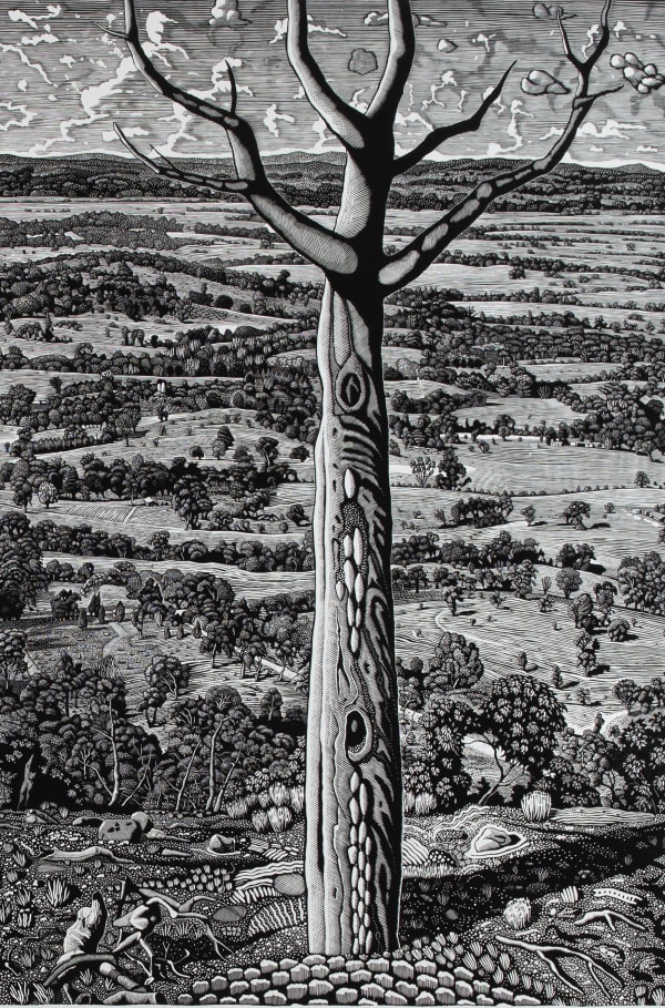 David Frazer, Wounded Wood III, 2019