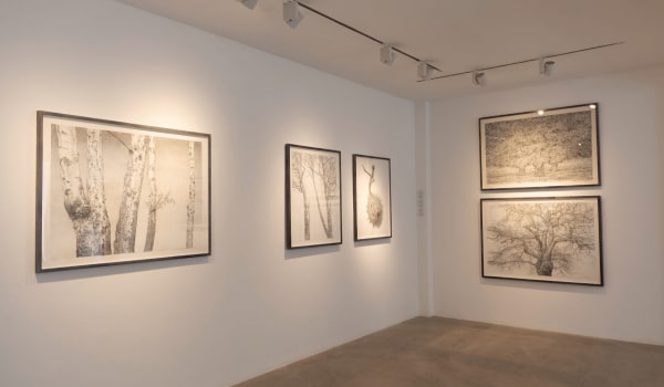 Roy Wright, Gallery Installation Shot