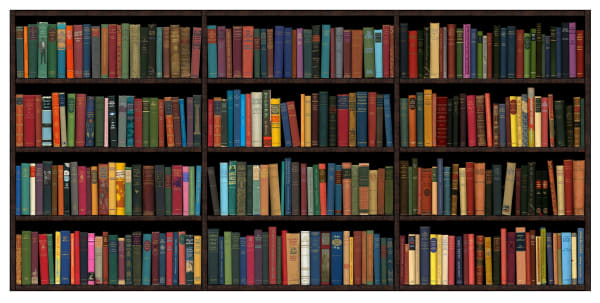 Conceptual bookshelf print containing colorful books with various titles by acclaimed British artist Phil Shaw represented by Rebecca Hossack Art Gallery.