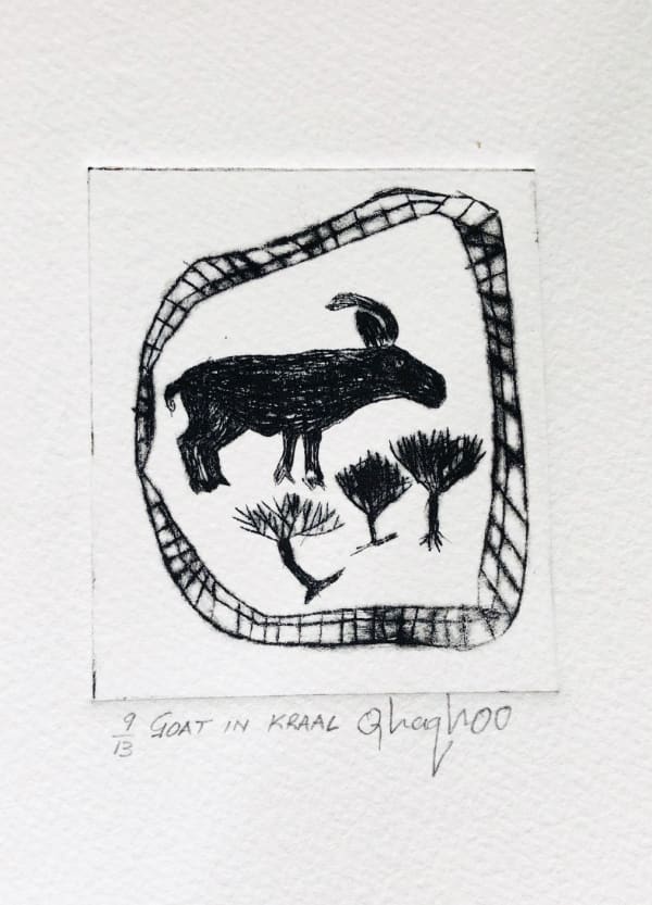 Qhaqhoo, Goat in Kraal, n.d.