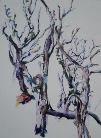 Patricia Cain, Three trees, Argyll, 2017