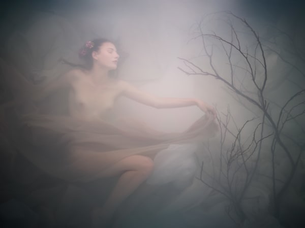 Toby Burrows, Nuova, 2012