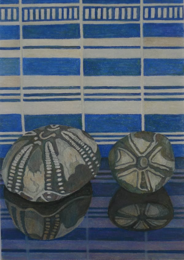 Aaron Kasmin, Sea Urchins, 2015