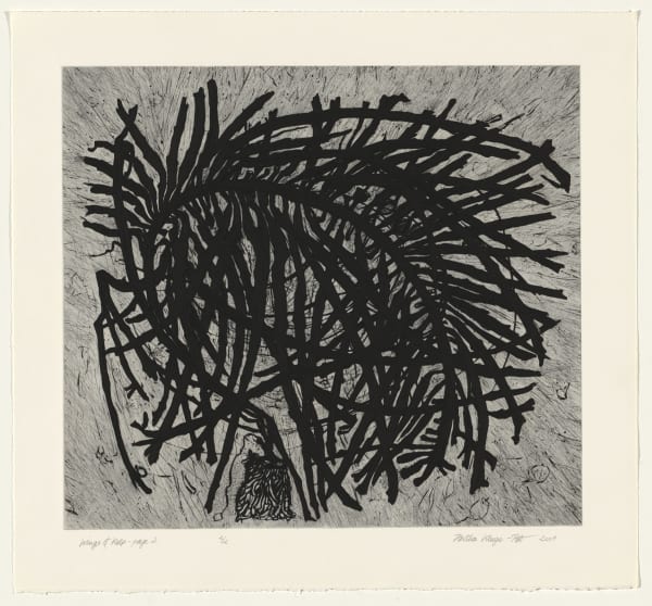 Hertha Kluge-Pott, Wings of Kelp - page 2, 2009