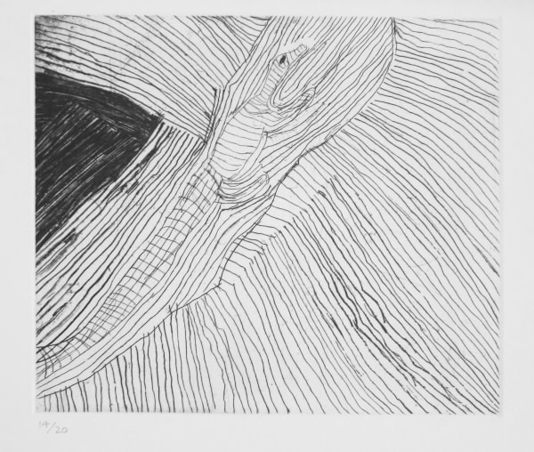 Amy Nuggett, Crocodile, 1995