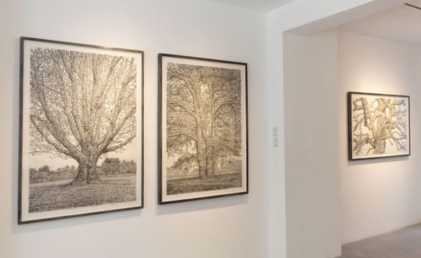 Roy Wright, Gallery Installation Shot