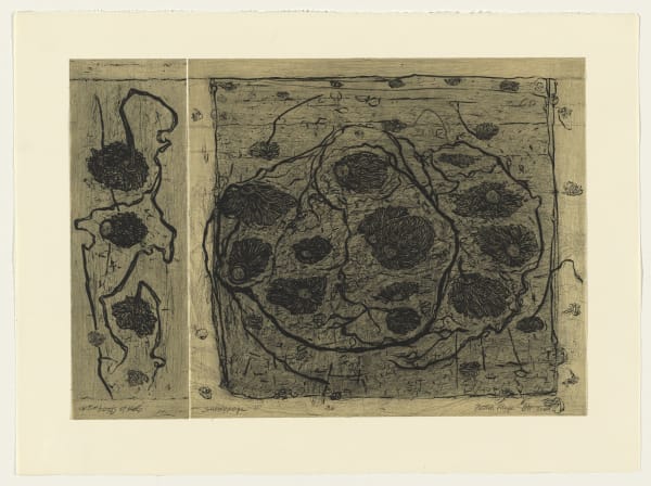 Hertha Kluge-Pott, Boots of kelp - survey page II, 2009