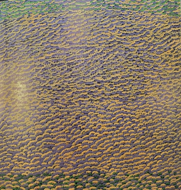 Lily Morton Akemarr, Ntang Native Seeds, 2011