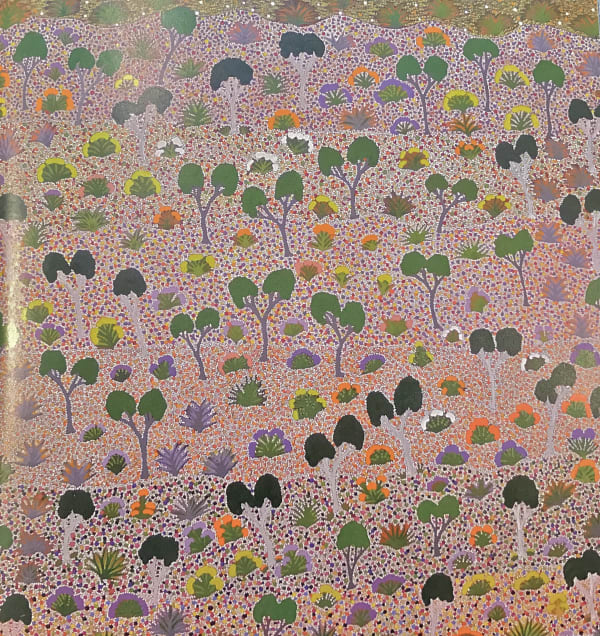 Lily Morton Akemarr, Ampilatwatja Country, 2011
