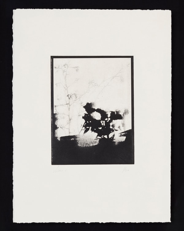 Black and white artwork by photographer Luke White available at the Rebecca Hossack Art Gallery.