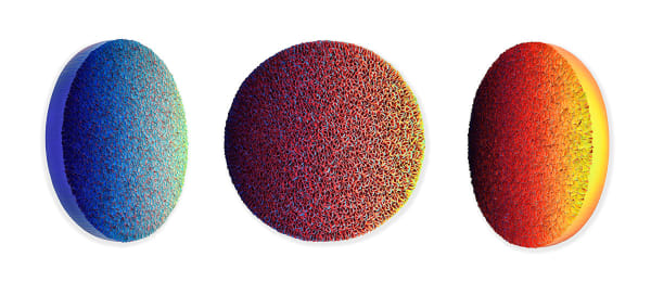 Hong Yi Zhuang, Flowerbed ZHY144, 2021