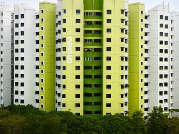 Peter Steinhauer, Block #255, Singapore, 2013